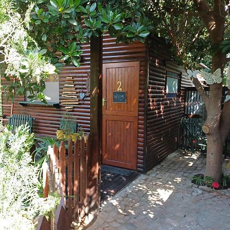 Owl'S Den 2 Appartement Oudtshoorn Buitenkant foto