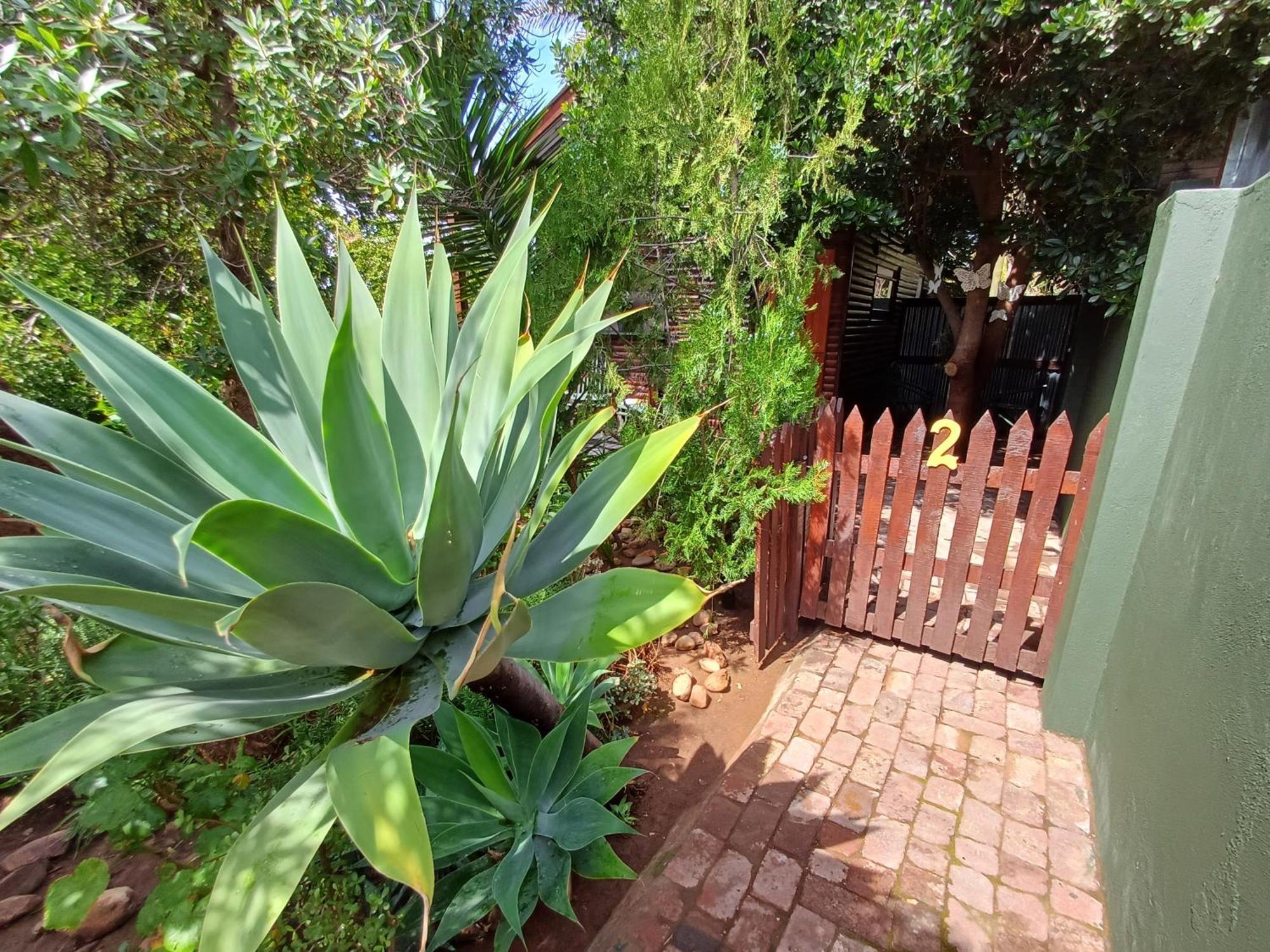 Owl'S Den 2 Appartement Oudtshoorn Buitenkant foto