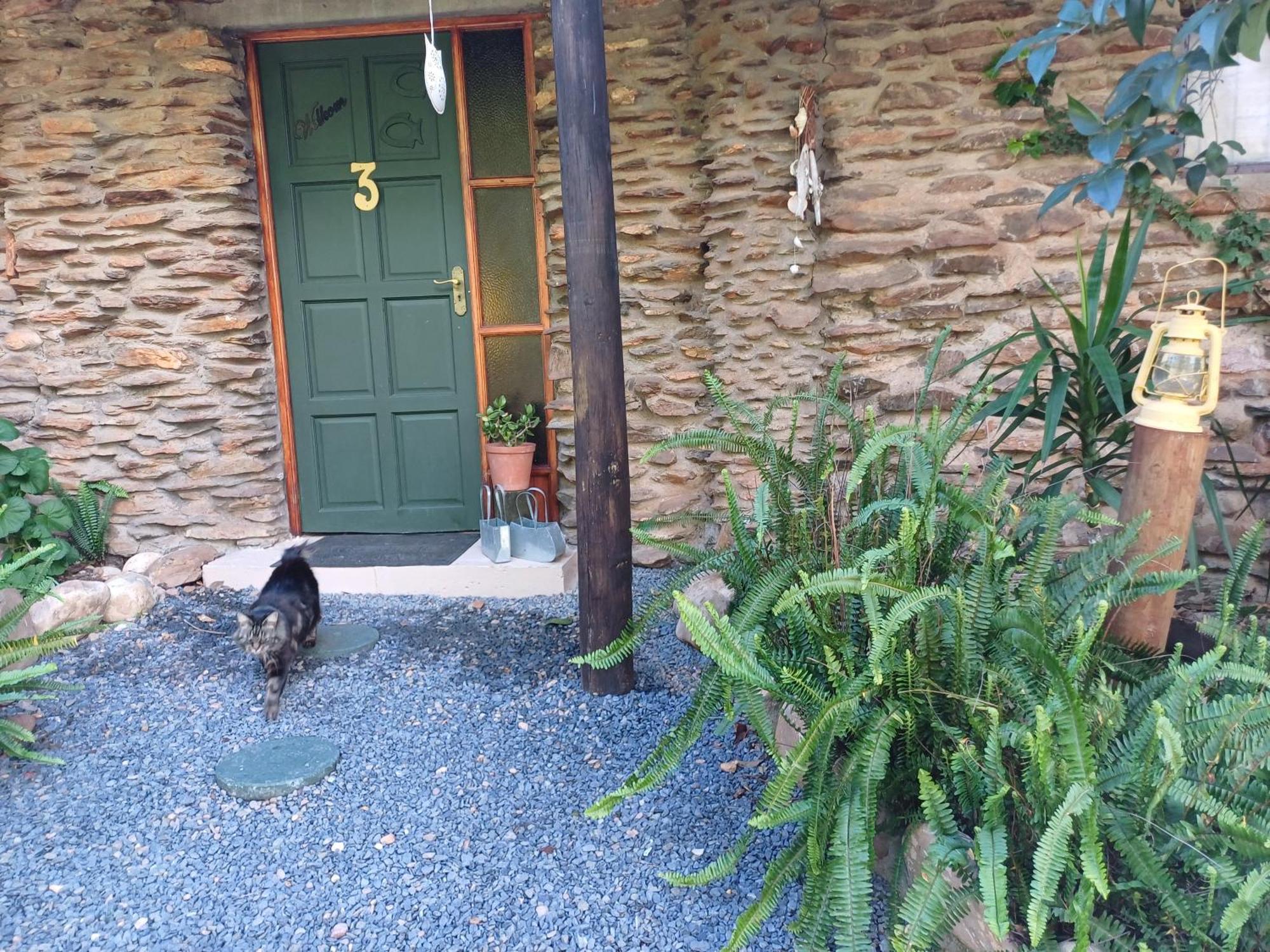 Owl'S Den 2 Appartement Oudtshoorn Buitenkant foto