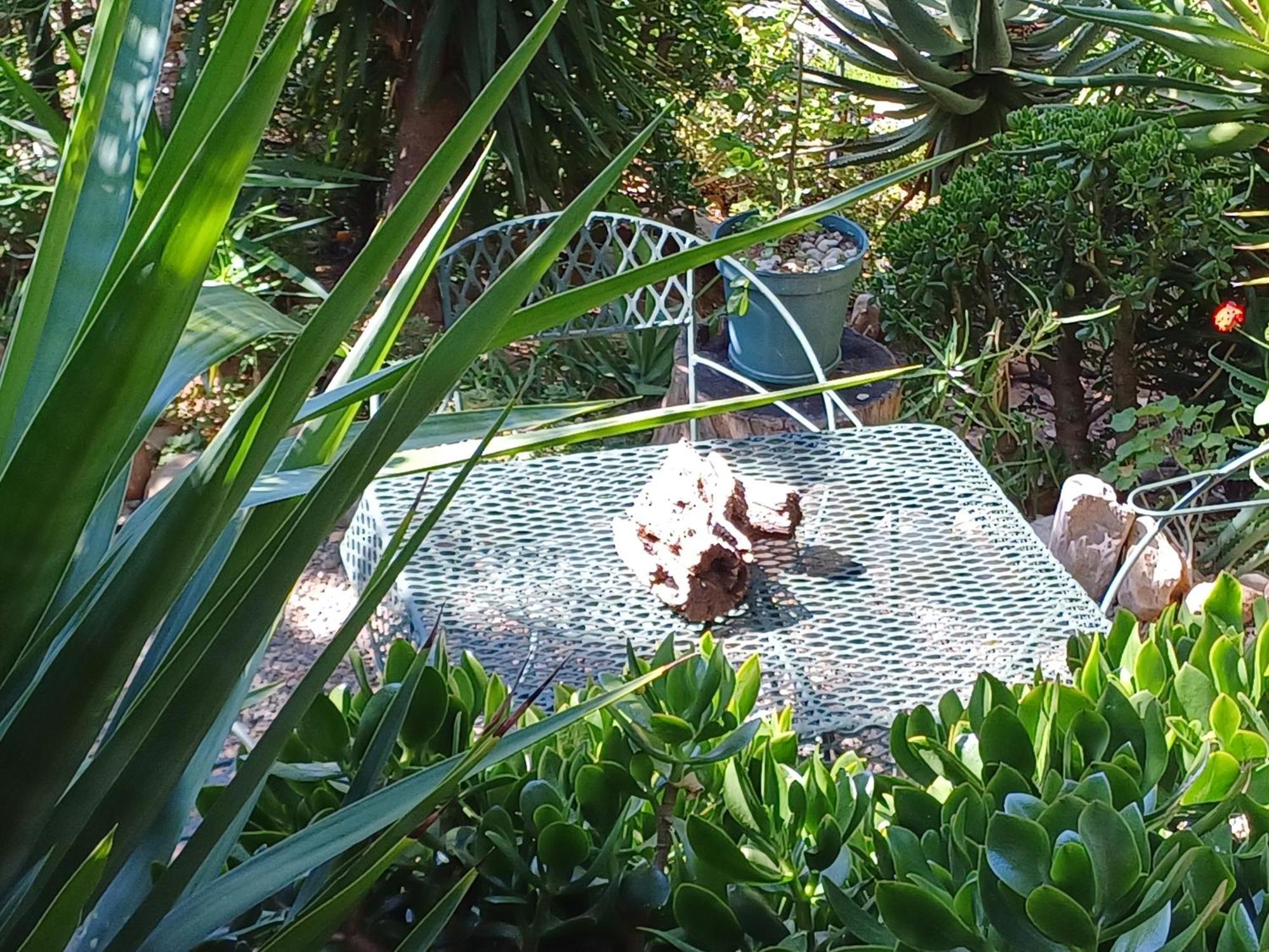Owl'S Den 2 Appartement Oudtshoorn Buitenkant foto
