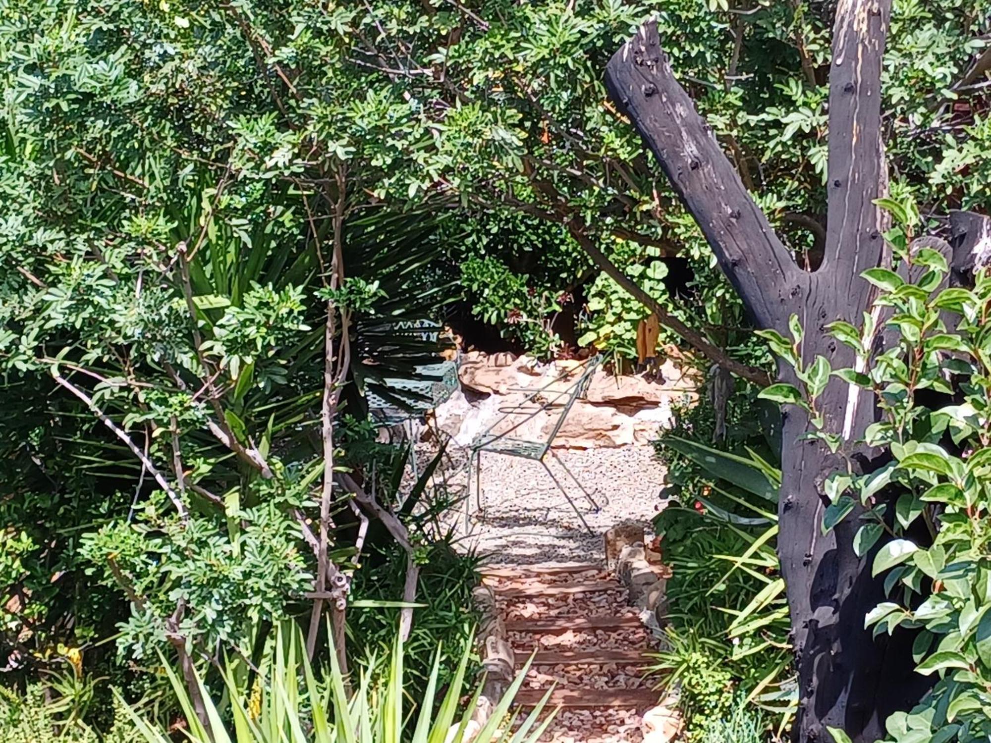 Owl'S Den 2 Appartement Oudtshoorn Buitenkant foto
