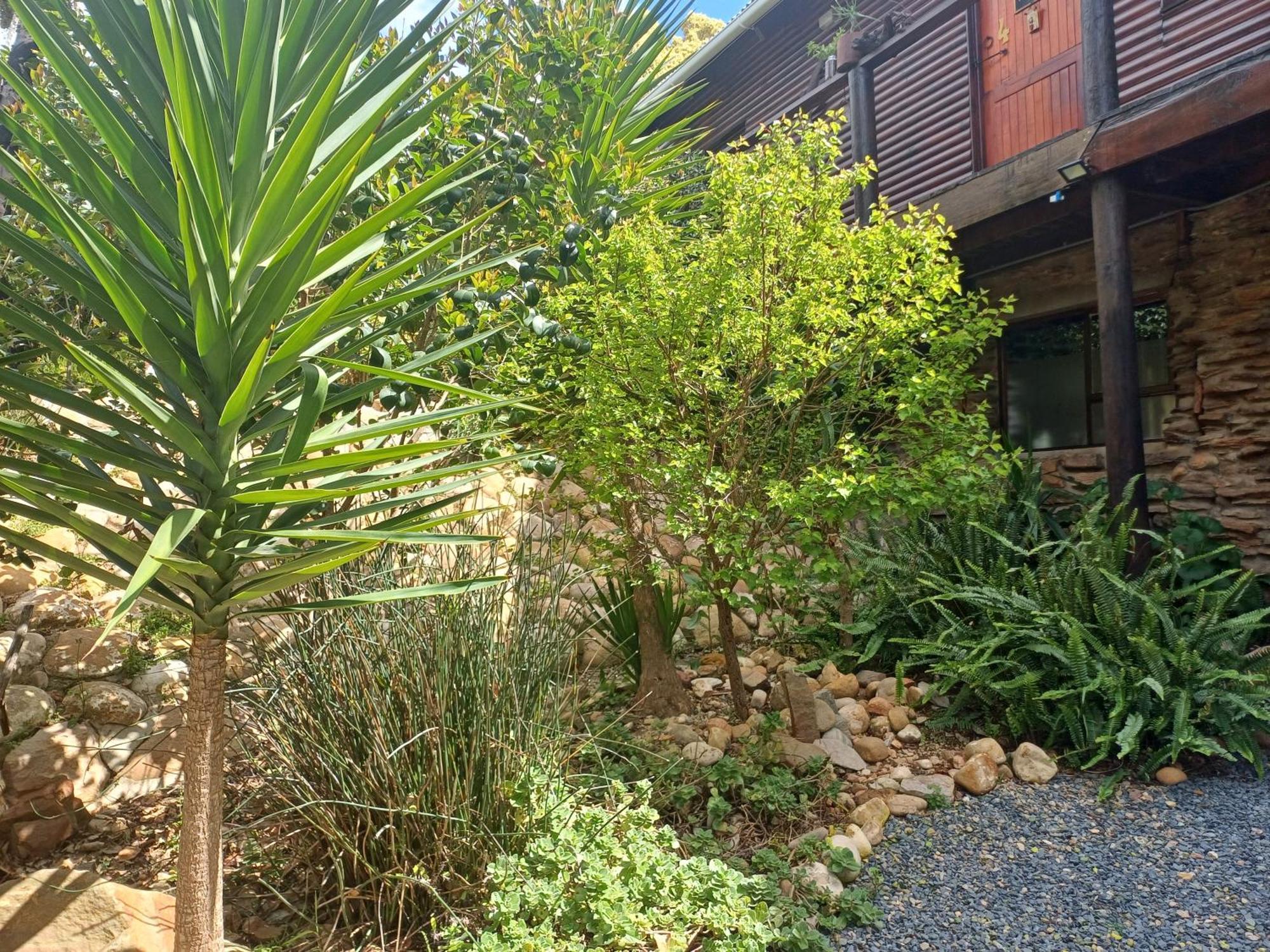 Owl'S Den 2 Appartement Oudtshoorn Buitenkant foto