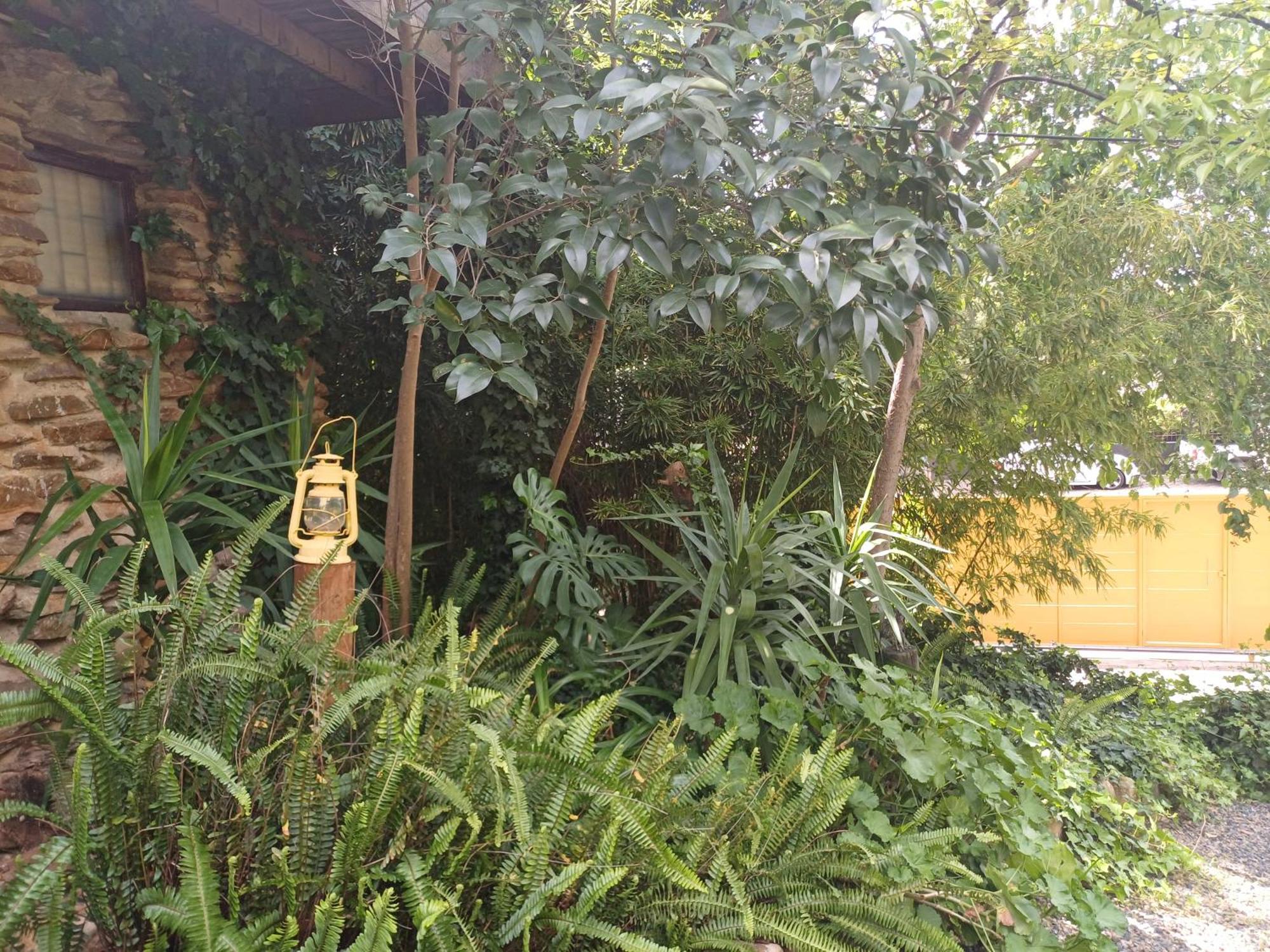 Owl'S Den 2 Appartement Oudtshoorn Buitenkant foto